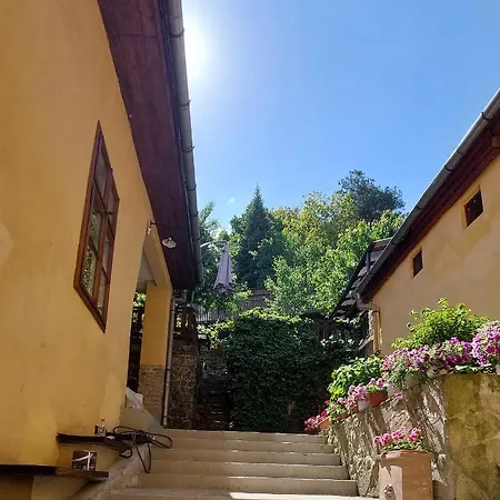 Casa Cojo Apartment Sighisoara Exterior photo