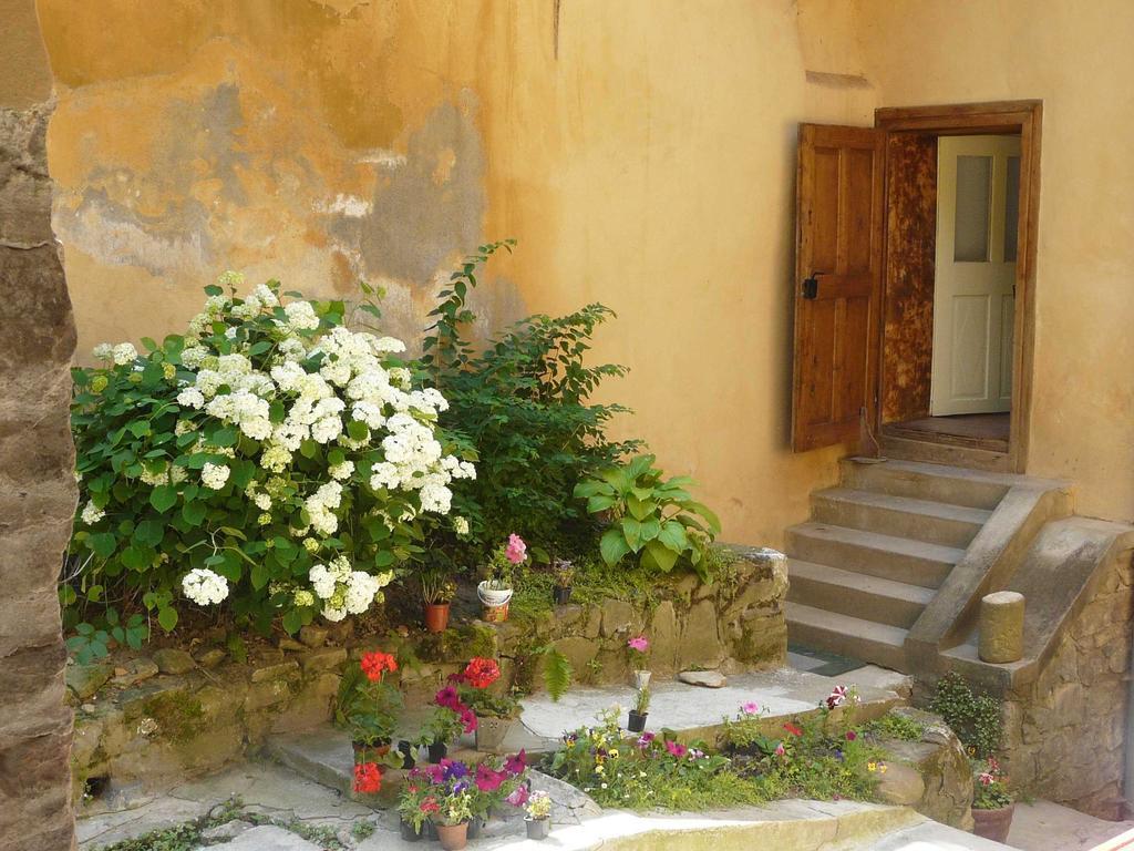 公寓 Casa Cojo Sighişoara