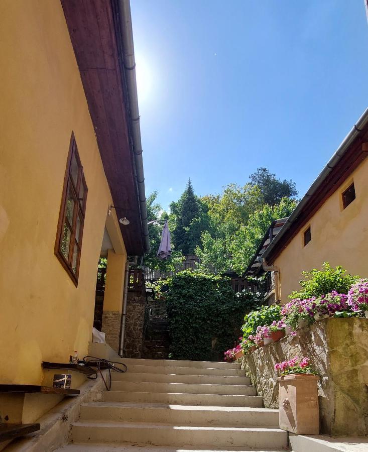Casa Cojo דירה *